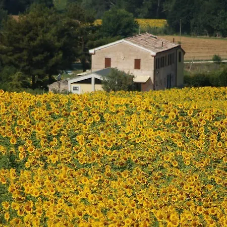 Ca' Del Cardo Casa di campagna *